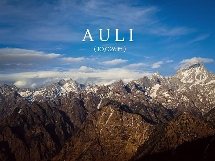 Auli